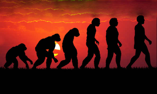 Théorie de l'évolution