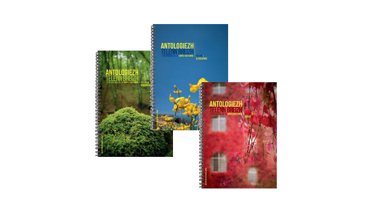 L’Anthologie de la Harpe Bretonne