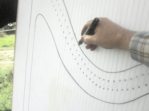 plans de harpe