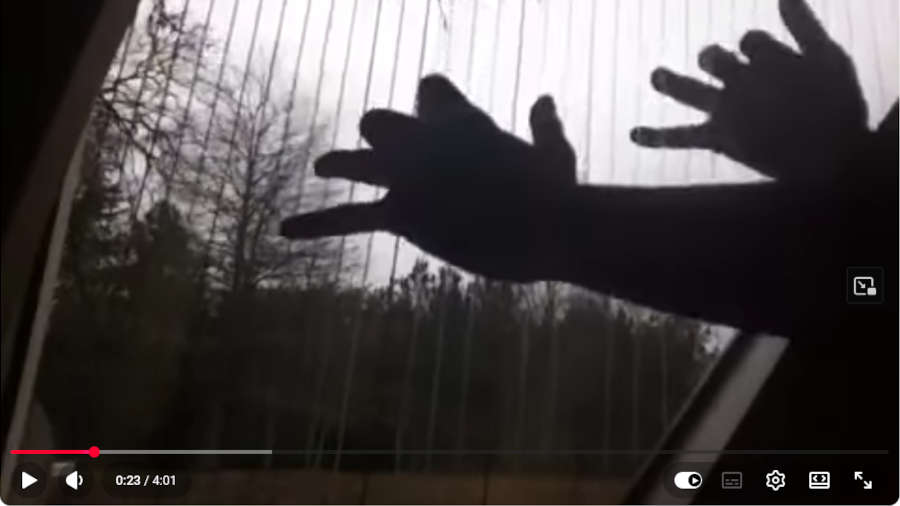 Anne-Marie Castagner